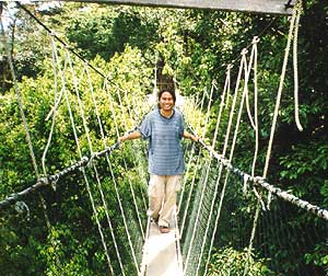 taman23.jpg (27105 bytes)