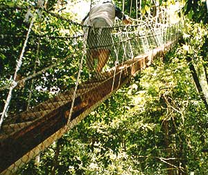 taman24.jpg (30088 bytes)