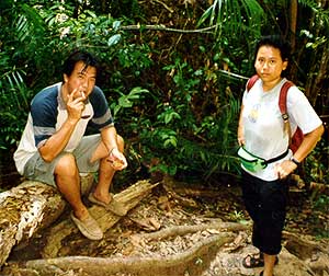 taman9.jpg (23351 bytes)