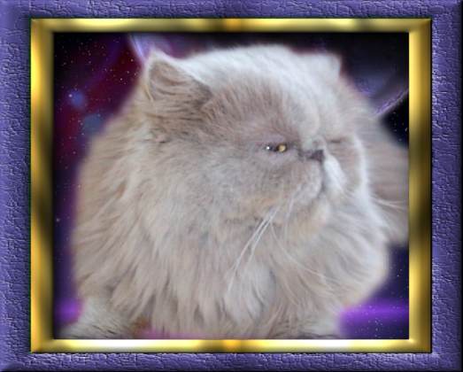 Click To View Pedigree