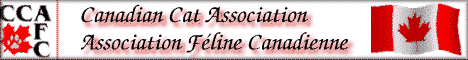 VISIT THE CCA
