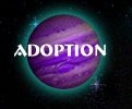 Find Available Cats Here