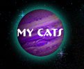 My Foundation Cats