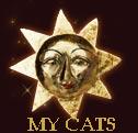 My Foundation Cats