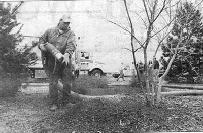 compost2.jpg (40403 bytes)