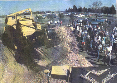 compost3.jpg (55360 bytes)