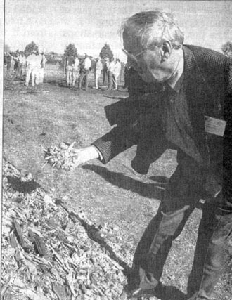 compost5.jpg (49969 bytes)