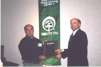 treecity1.jpg (23836 bytes)