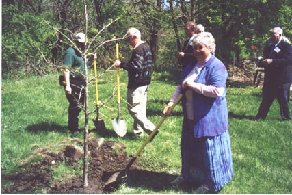 treecity13.jpg (50122 bytes)