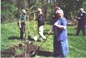 treecity13thumb.jpg (8590 bytes)
