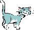 cat.JPG