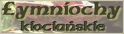 (8kB)