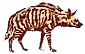 fisi01.JPG (8142 bytes)