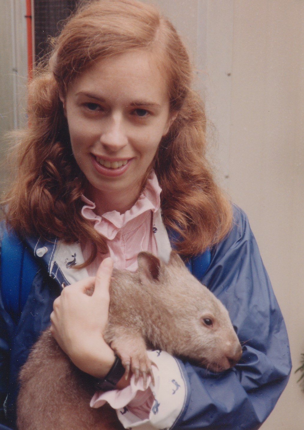 Wombat