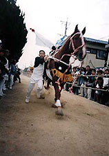 FESTIVALS
