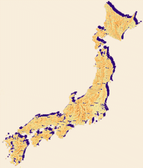 NON KUMAMOTO