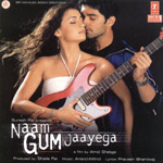 NAAM GUM JAAYEGA