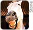 I am Mister Bush! I am the brains behind George W. Bush!