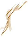 Minimalist 
