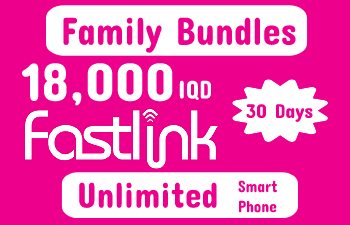 Fastlink Balance