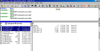 foto005.gif (20866 bytes)