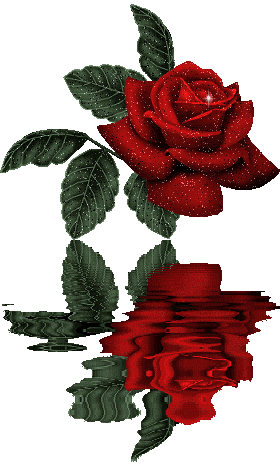 25.gif (194612 bytes)
