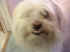 hi.jpg (52330 bytes)