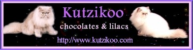 Kutzikoo Website Banner