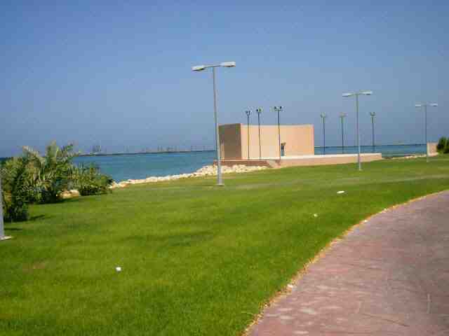 kuwait_magic_0002.jpg