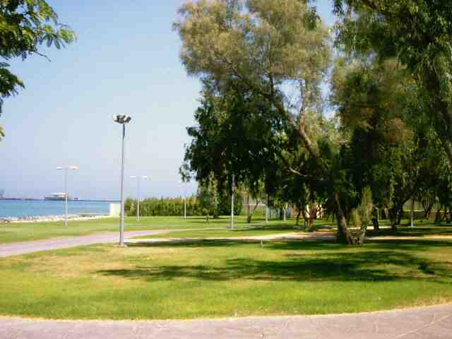 kuwait_magic_0009.jpg