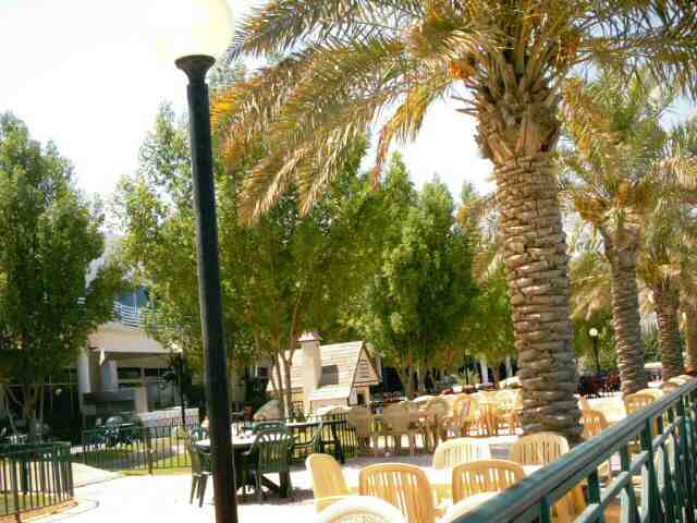 kuwait_magic_0034.jpg
