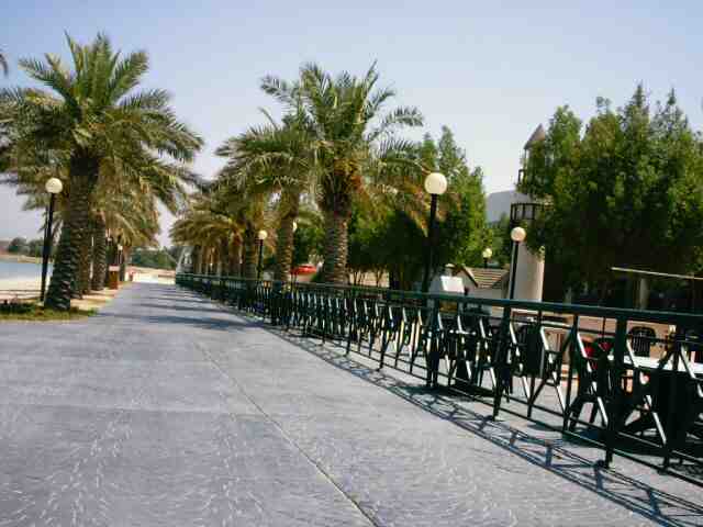 kuwait_magic_0038.jpg
