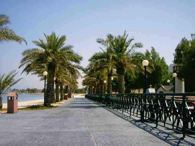 kuwait_magic_0041.jpg