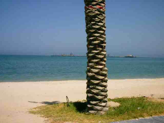 kuwait_magic_0042.jpg