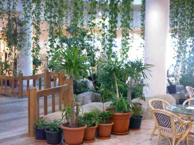 kuwait_magic_0062.jpg