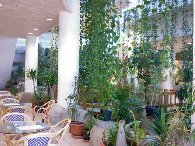 kuwait_magic_0064.jpg