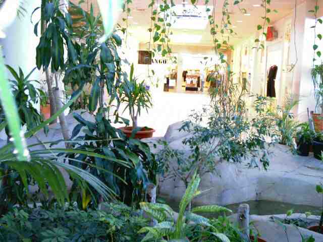 kuwait_magic_0065.jpg