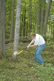 I'm a lumberjack too and I'm ok...