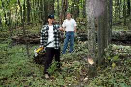 I'm a lumberjack and I'm ok...