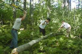 Nice Hatchet Mike