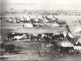 camp.jpg