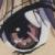 fushigiyuugi