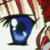 seraphim call