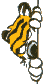 hobbe2.gif (945 bytes)
