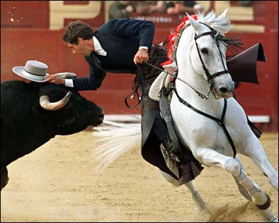 bullfighter_takes_his_hat_off_to_the_bull
