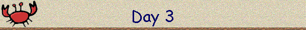 Day 3