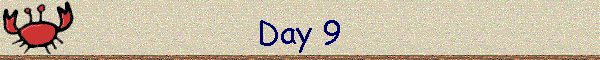 Day 9