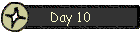 Day 10