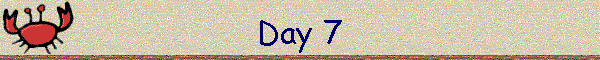 Day 7