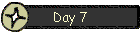Day 7